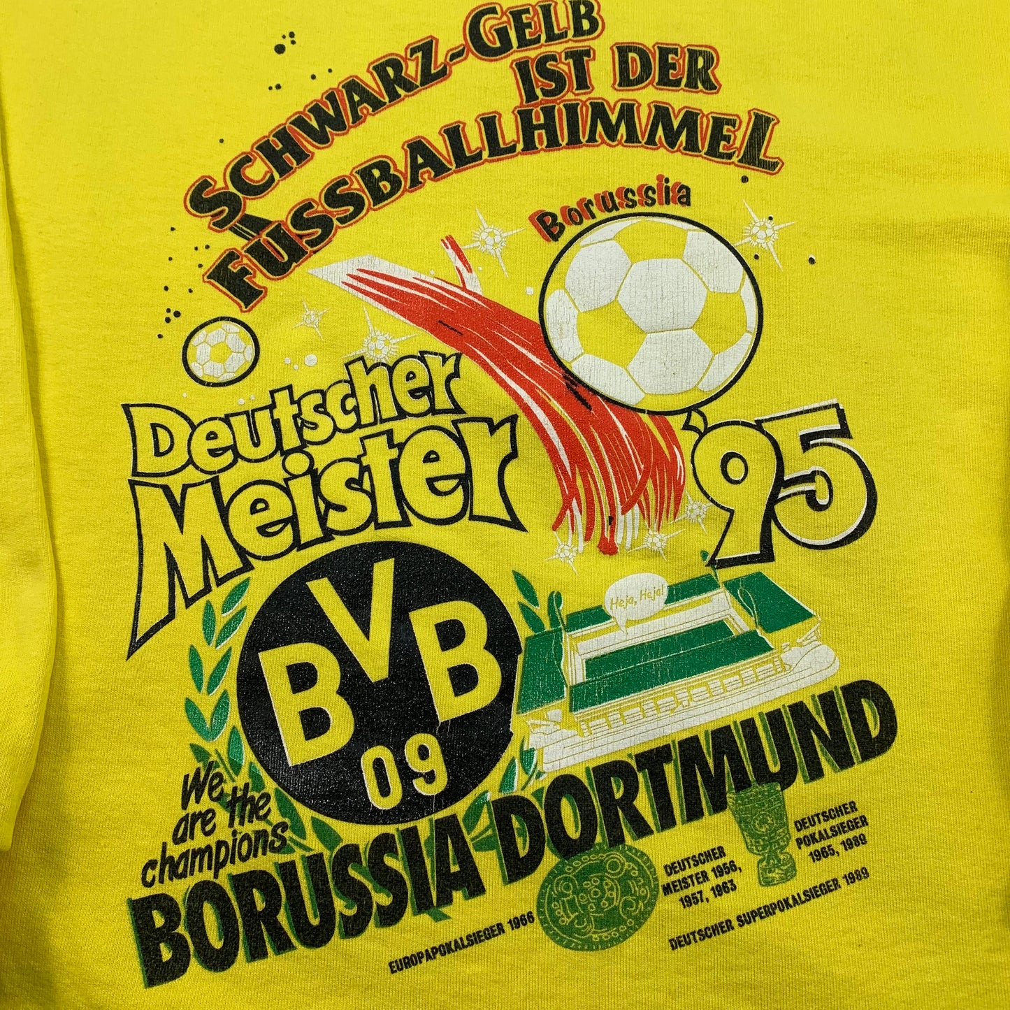 Vintage Borussia Dortmund Pullover Deutscher Meister 1995 (L)