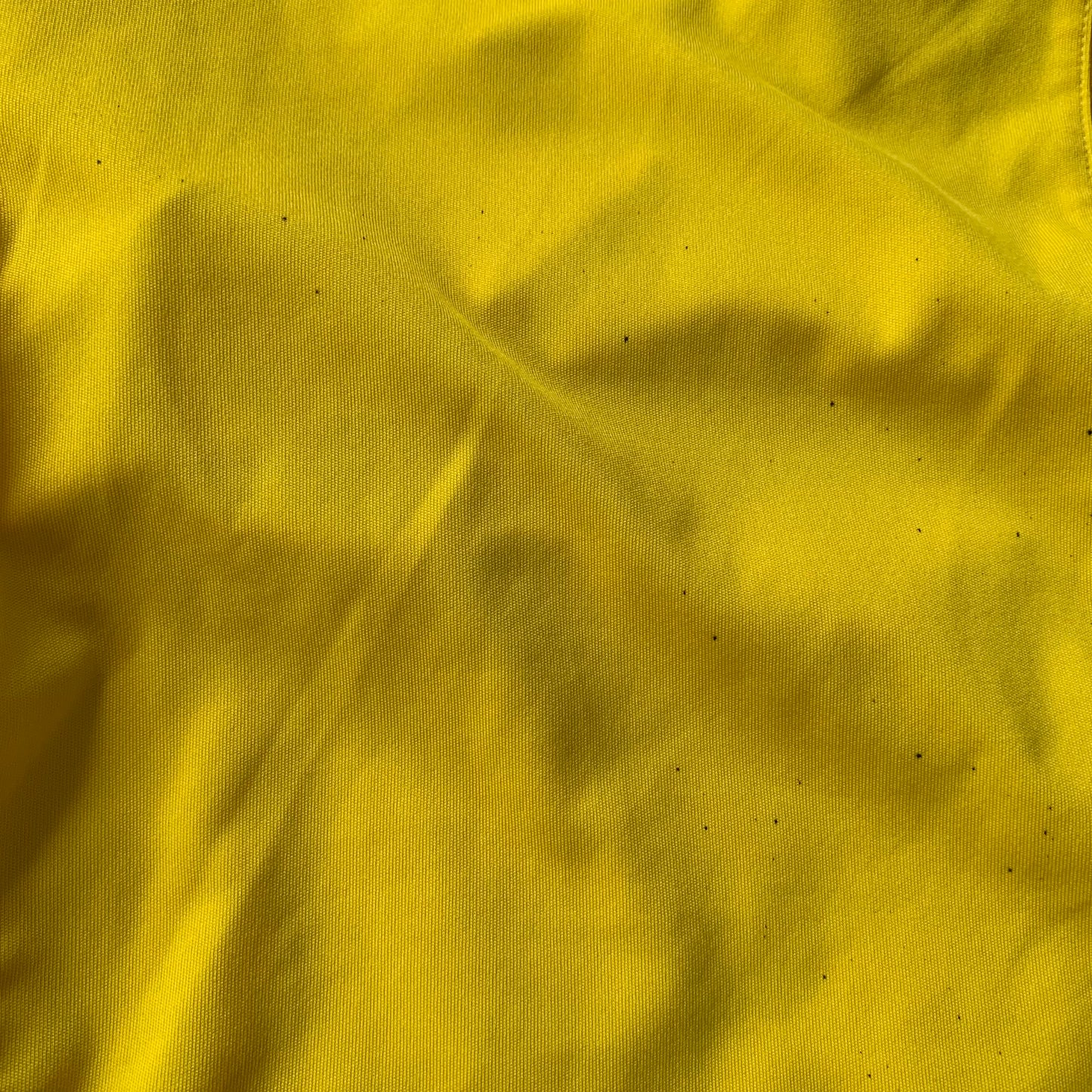 Borussia Dortmund Shorts (S) Puma