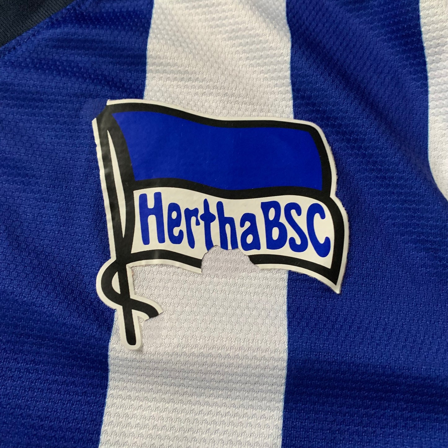 Hertha BSC Trikot 2013/14 Heim Spielerversion #15 (L) Nike