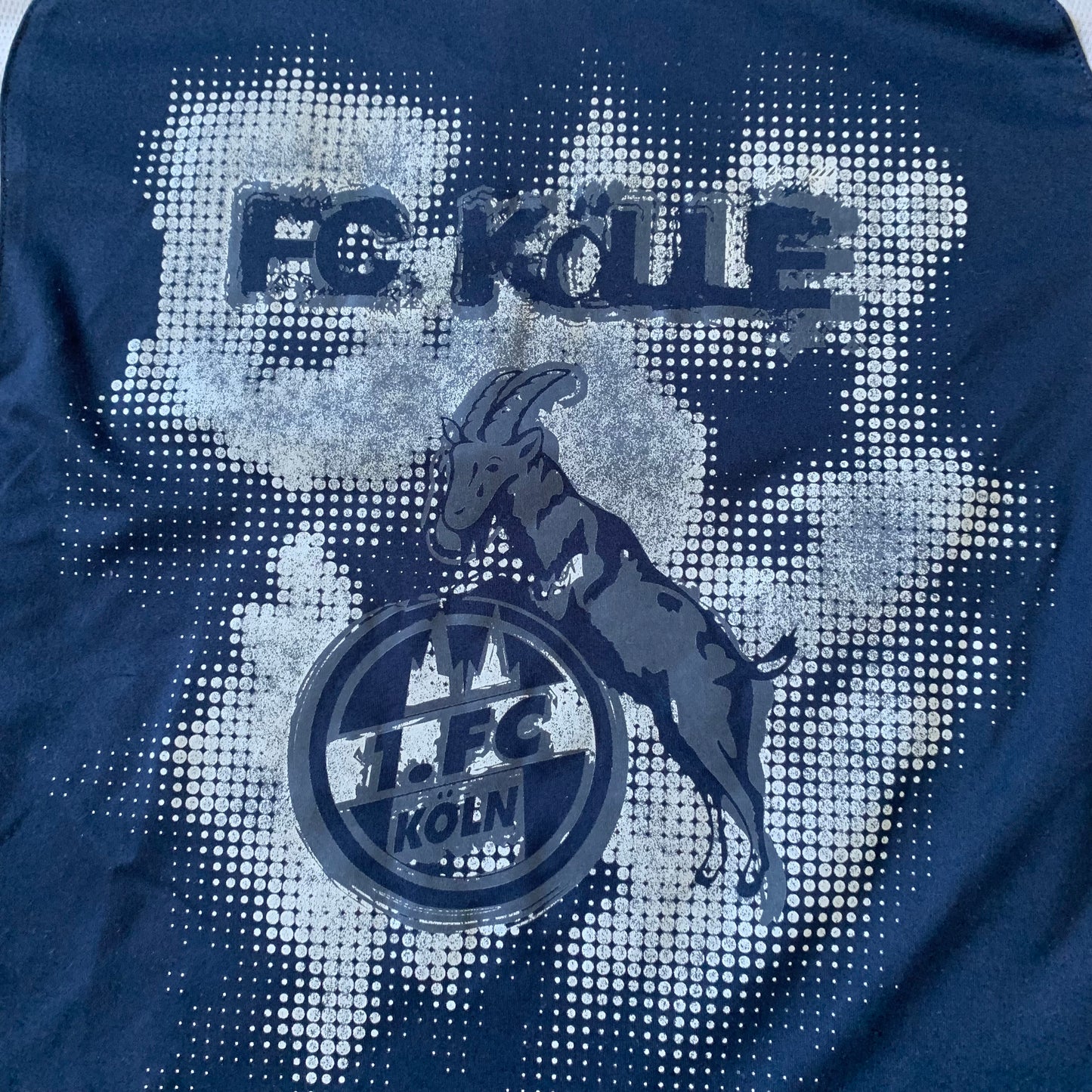 1. FC Köln Trainingsshirt 00s (L) Reebok