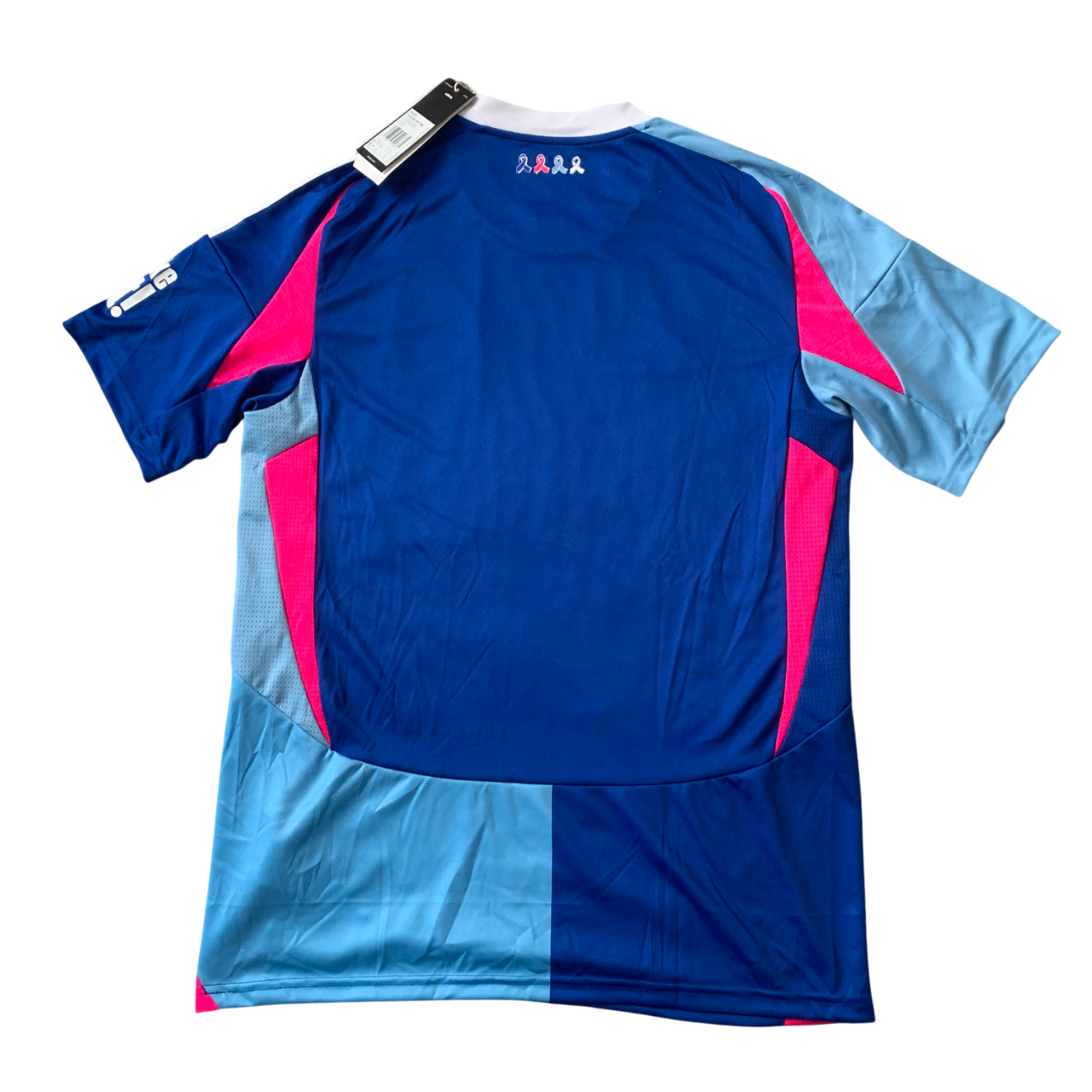 FC Schalke 04 Trikot 2024/25 Deutsche Krebshilfe (M) Adidas