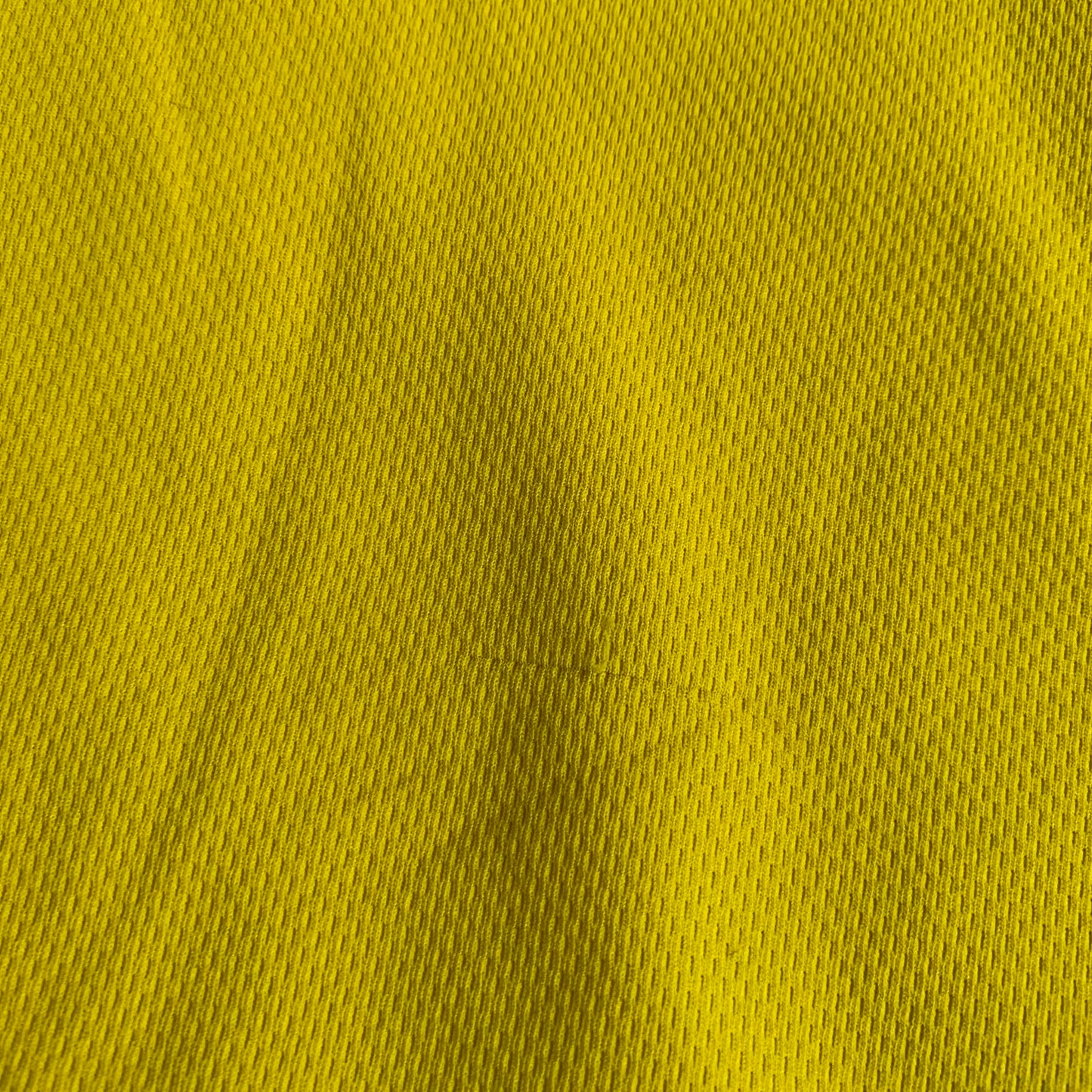 Borussia Dortmund Trikot 2002/03 Heim Ewerthon #12 (L) goool