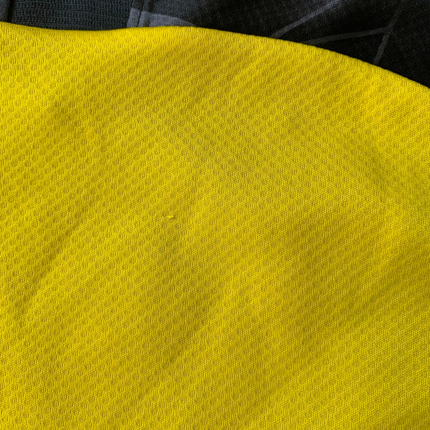 Borussia Dortmund Trikot 2019/20 Cup Trikot (152) Puma