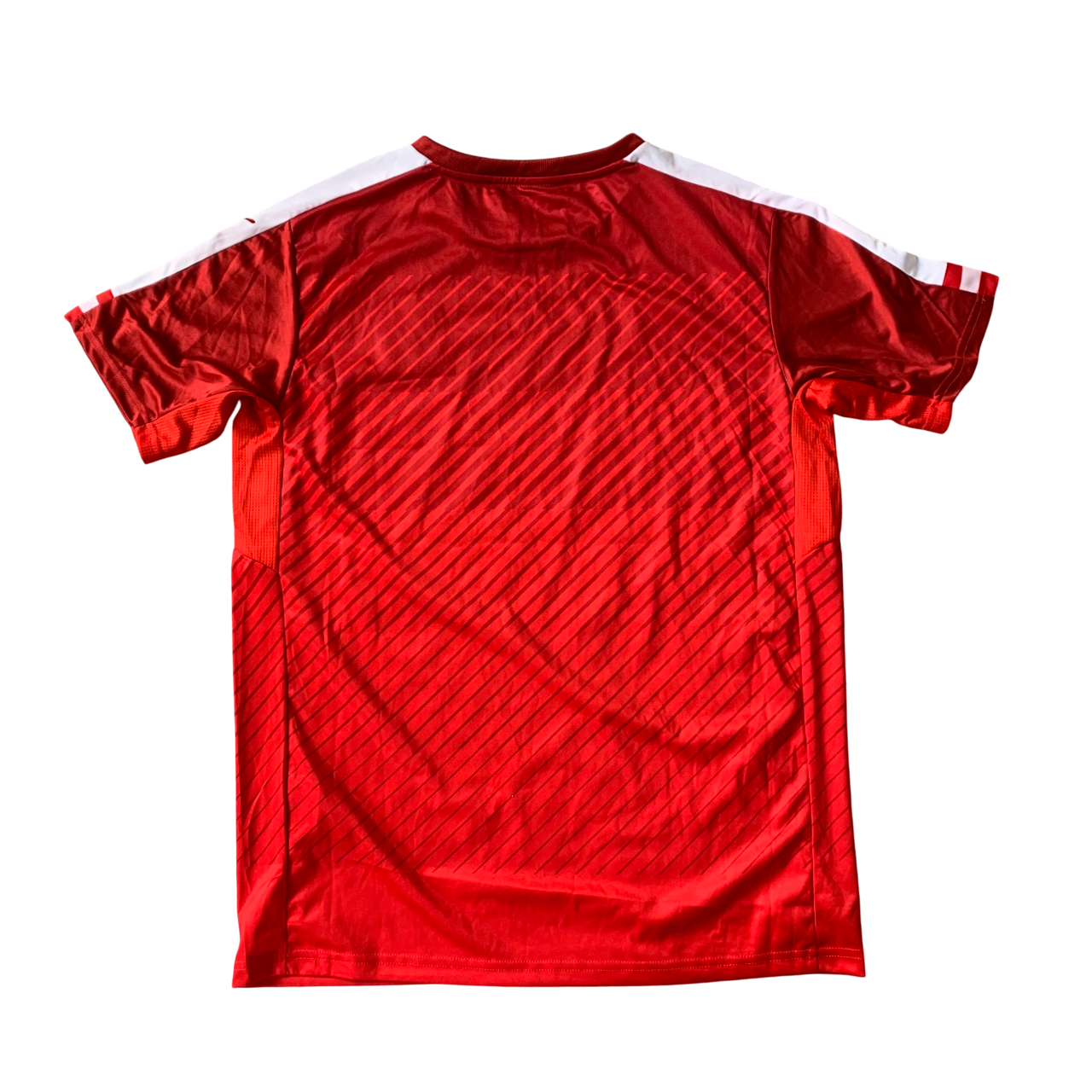 Österreich Trikot EM 2016 Heim (176) Puma
