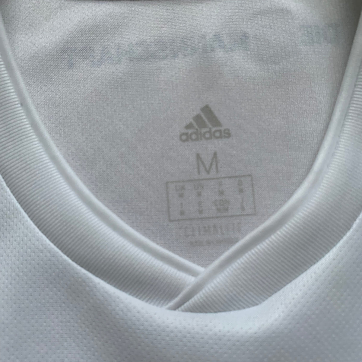 DFB Deutschland Trikot WM 2018 Heim (M) Adidas