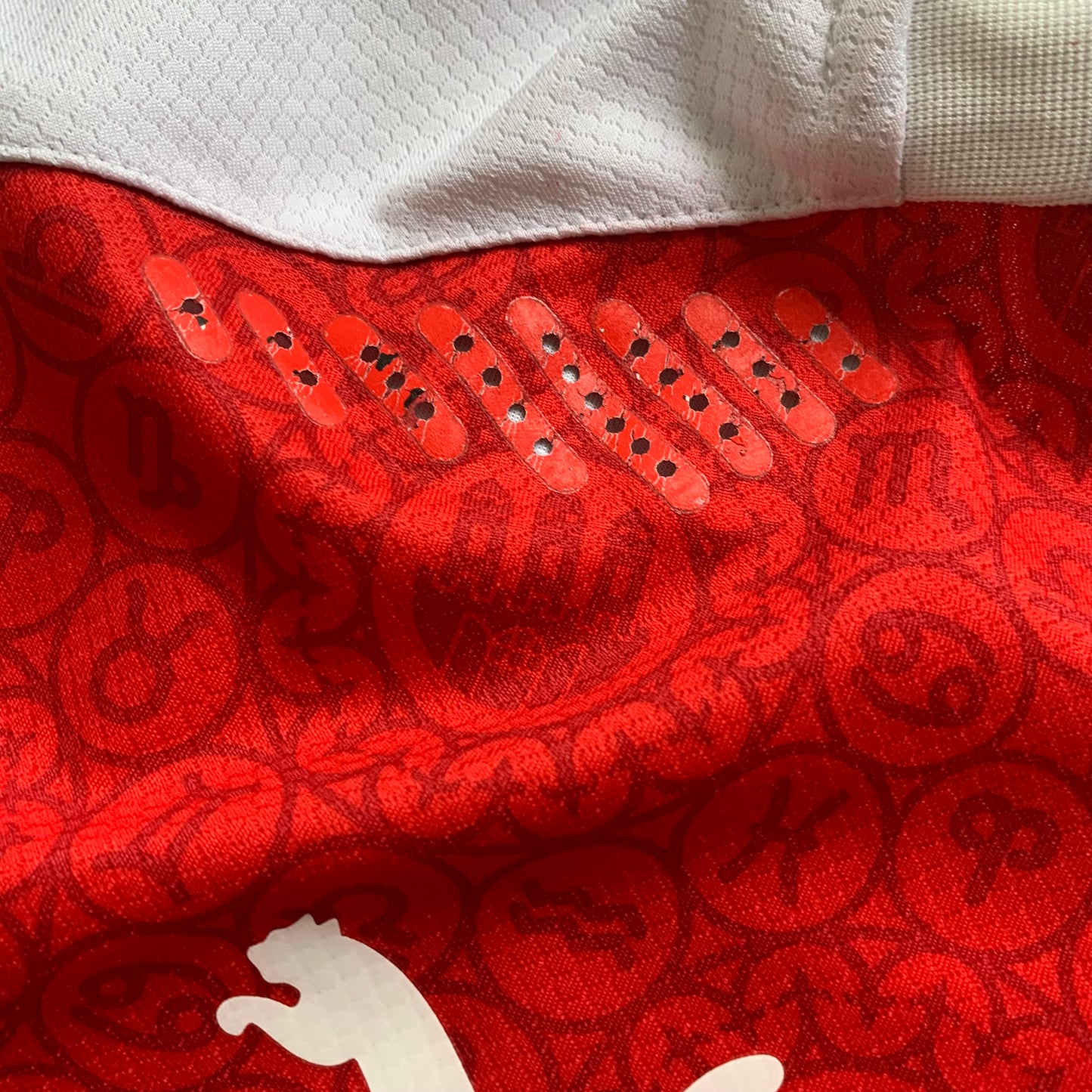 Slavia Prag Trikot 2020/21 Heim Sample (M) Puma
