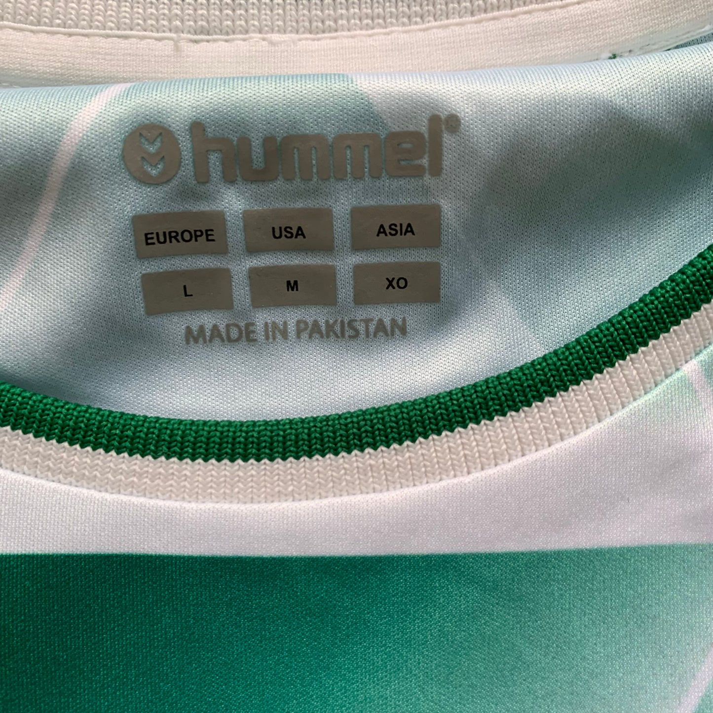 Werder Bremen Trainingsshirt 2024/25 (L) Hummel