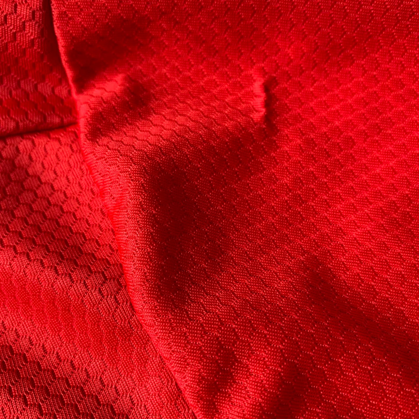 Benfica Trikot 2019/20 Heim (L) Adidas