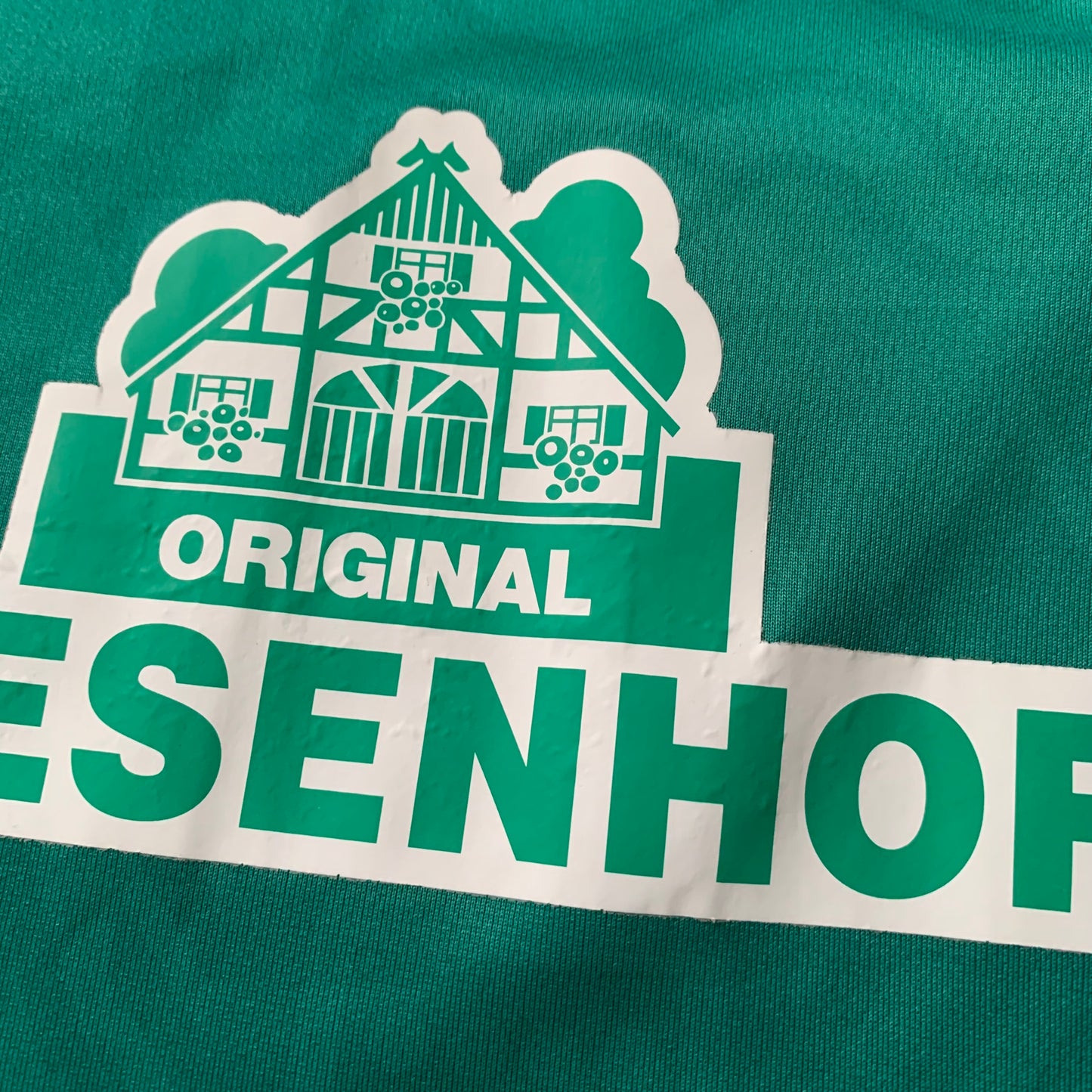 Werder Bremen Trikot 2021/22 Heim (M) Umbro