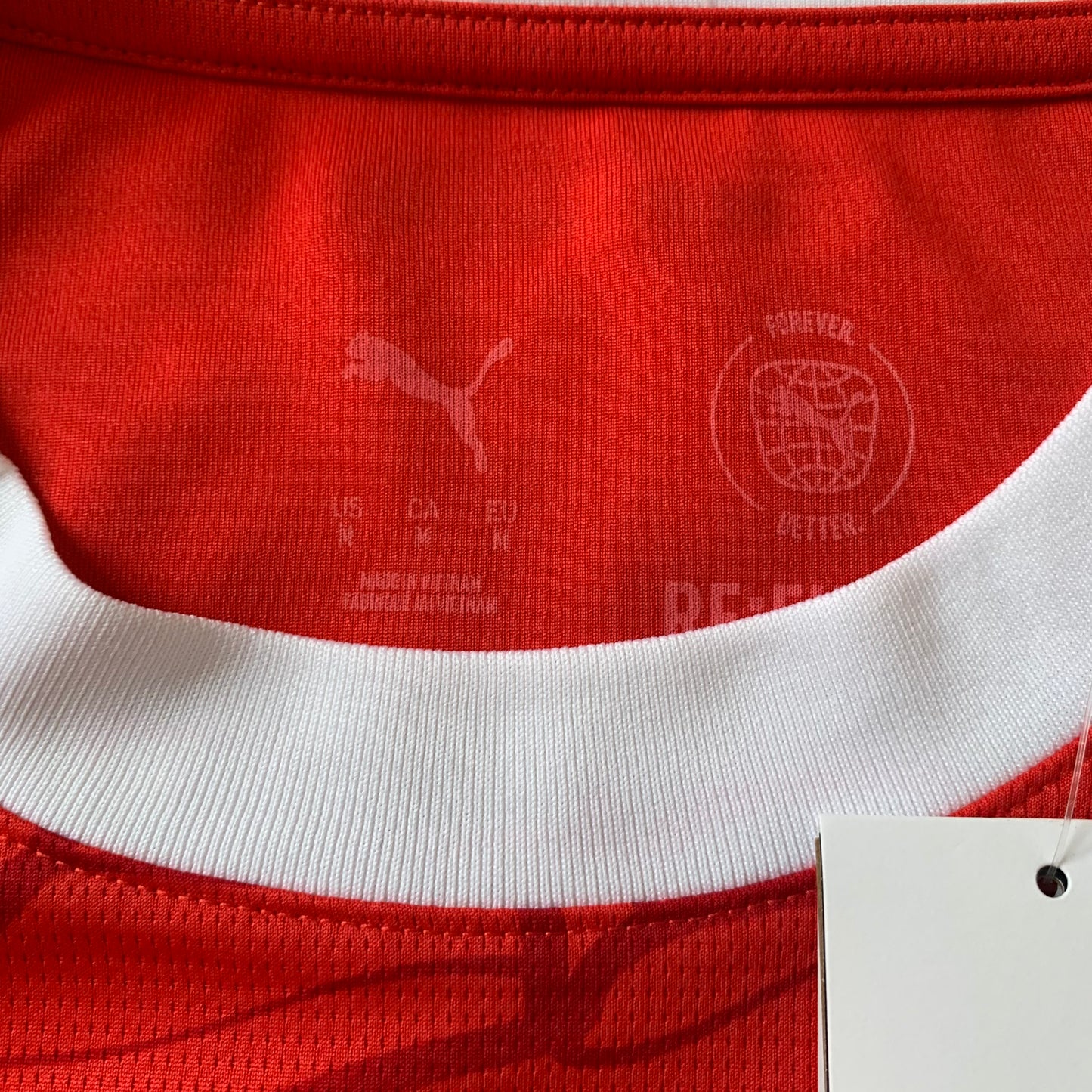 Österreich Trikot EM 2024 Heim (M) Puma
