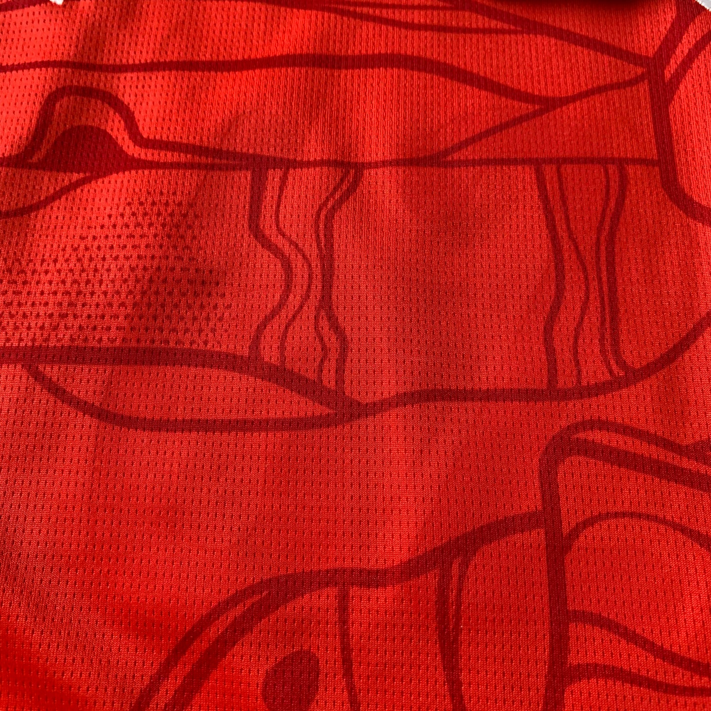 Österreich Trikot EM 2024 Heim (M) Puma